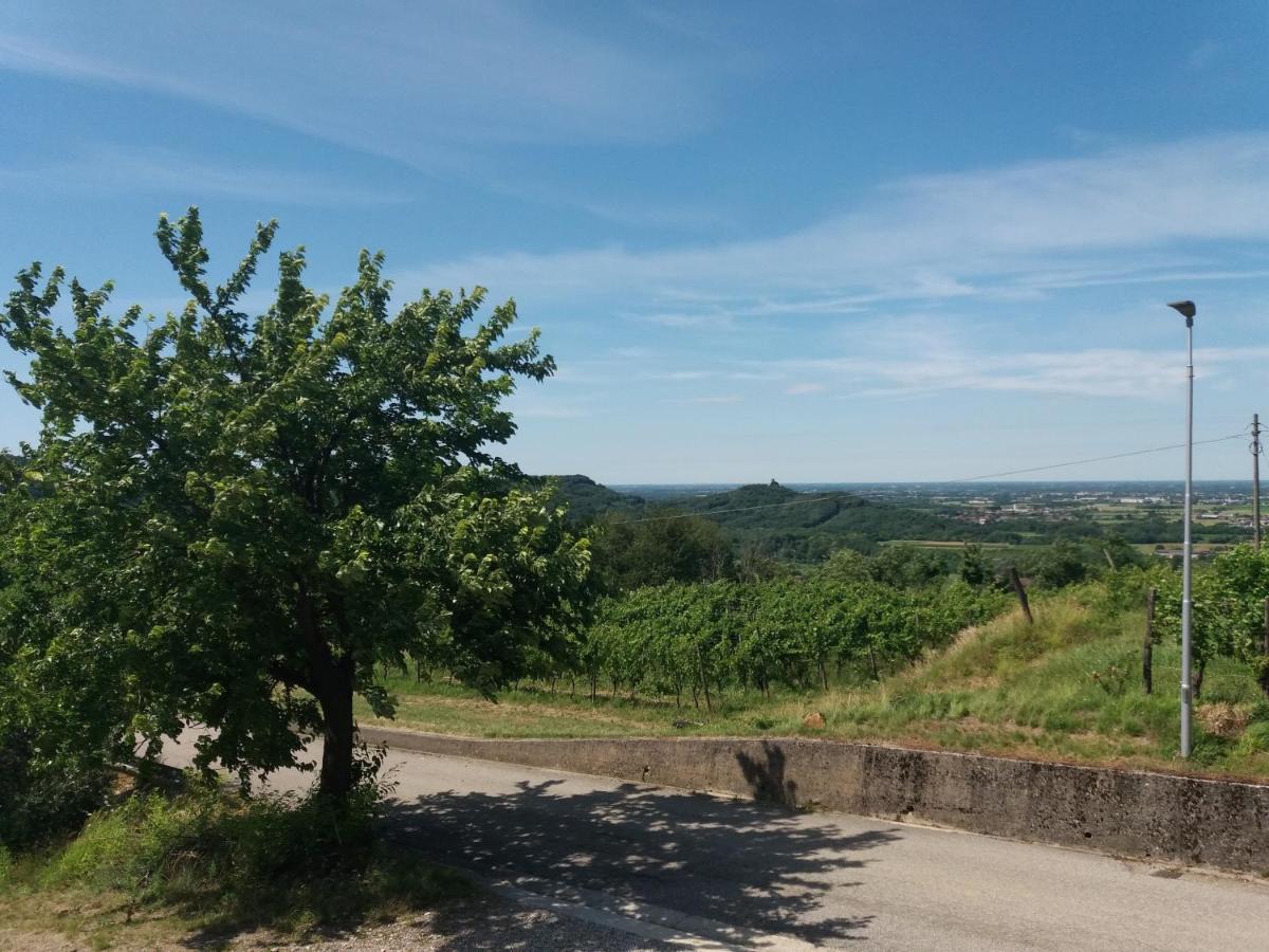 Agriturismo Casa Delle Rose Winery Ruttars Екстер'єр фото