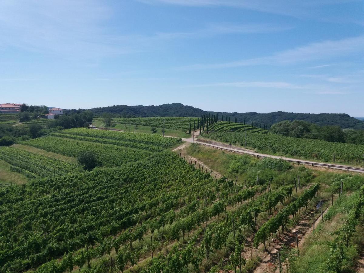 Agriturismo Casa Delle Rose Winery Ruttars Екстер'єр фото