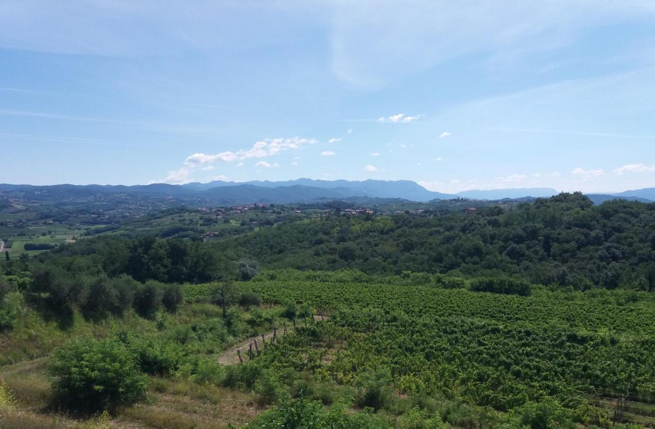 Agriturismo Casa Delle Rose Winery Ruttars Екстер'єр фото