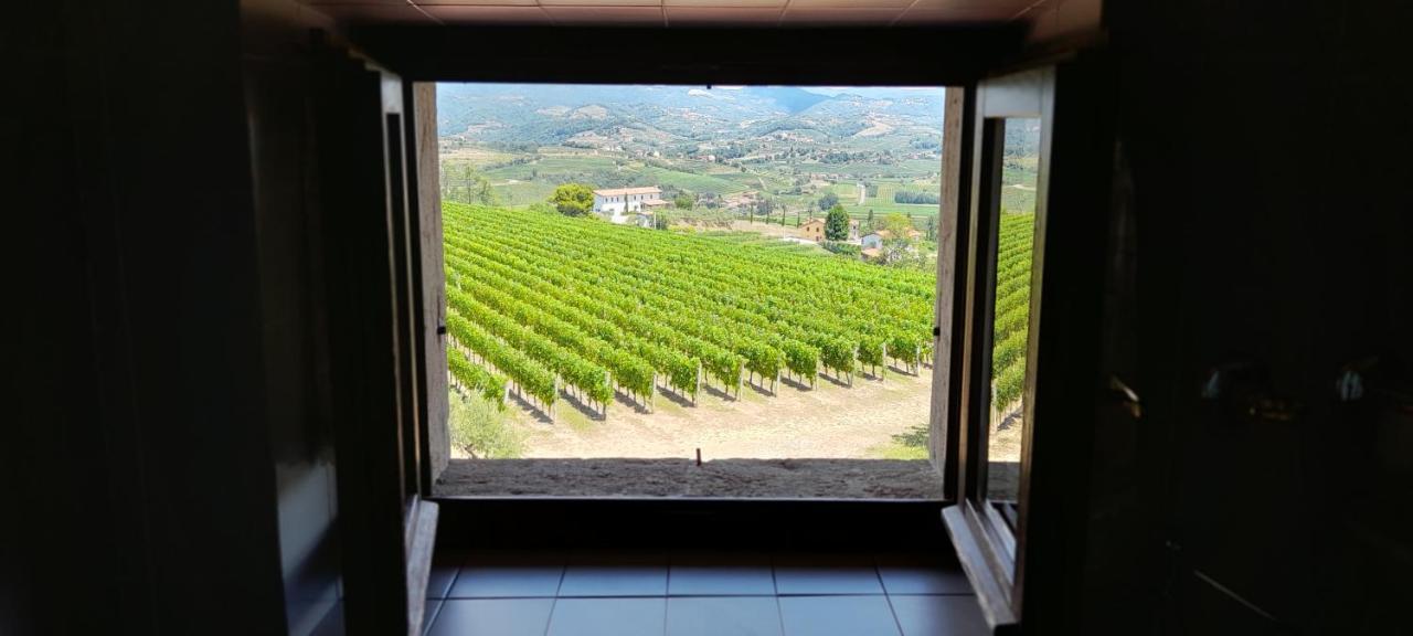 Agriturismo Casa Delle Rose Winery Ruttars Екстер'єр фото