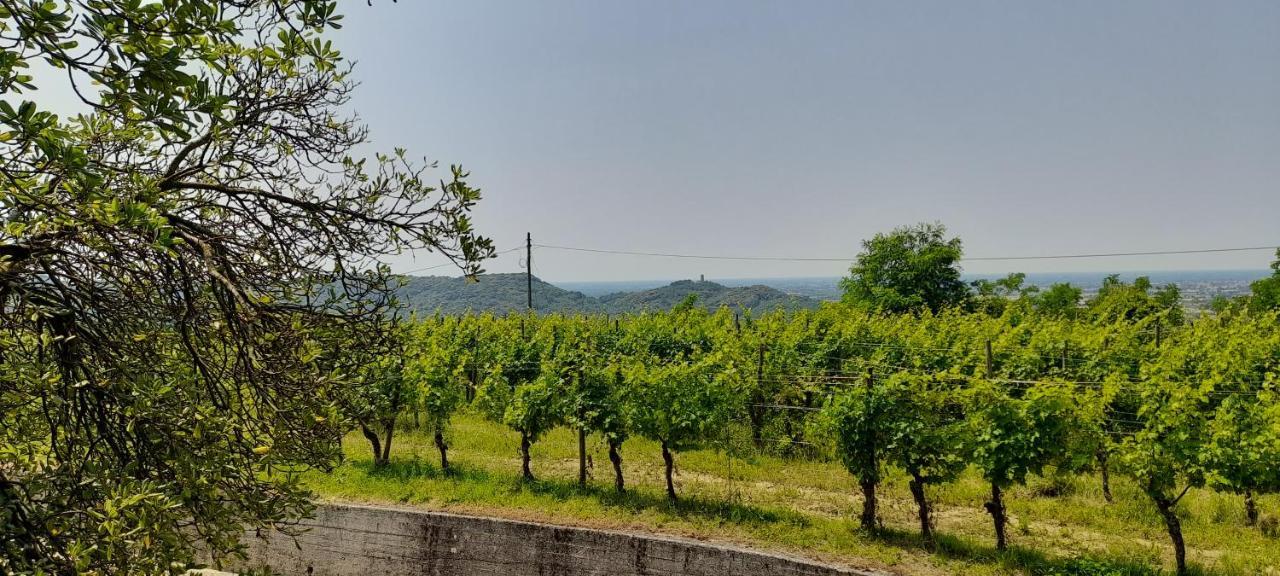Agriturismo Casa Delle Rose Winery Ruttars Екстер'єр фото