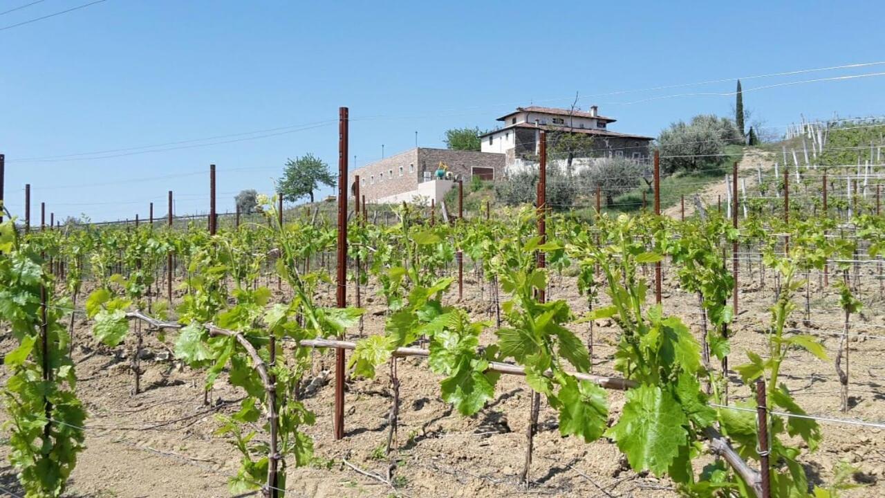 Agriturismo Casa Delle Rose Winery Ruttars Екстер'єр фото