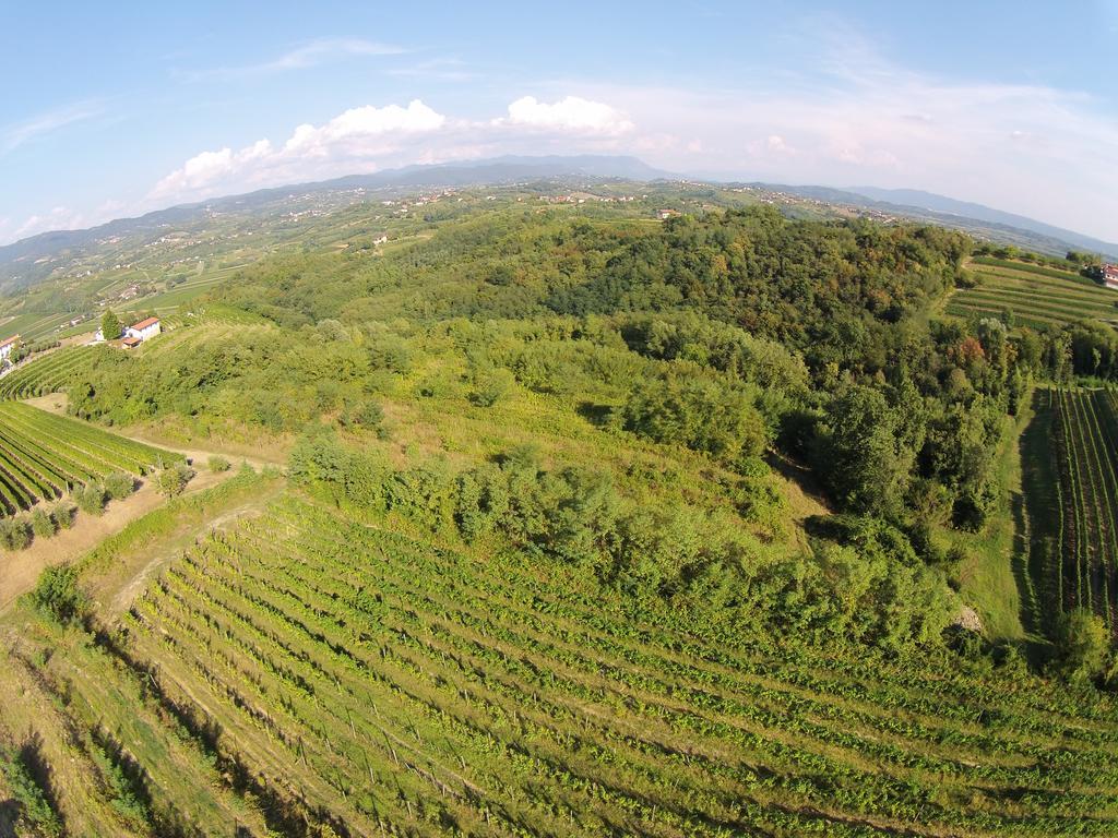 Agriturismo Casa Delle Rose Winery Ruttars Екстер'єр фото