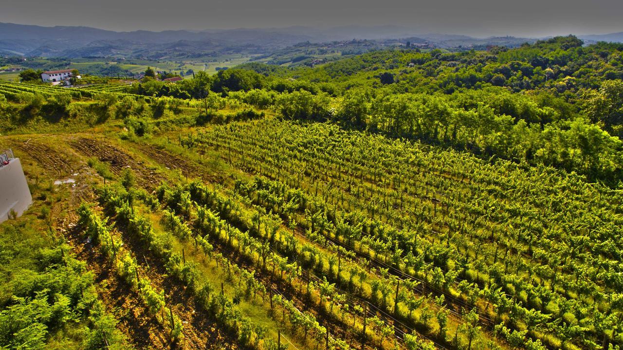 Agriturismo Casa Delle Rose Winery Ruttars Екстер'єр фото